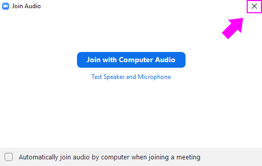 View of the Join Audio dialogue in Zoom