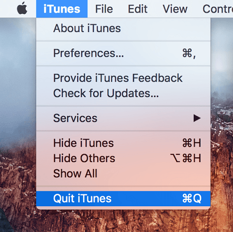Software menu from iTunes with the menu
          item to Quit highlighted