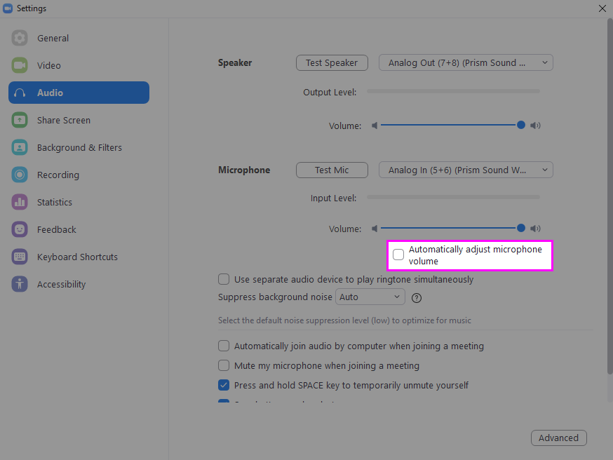 View of Zoom’s audio settings